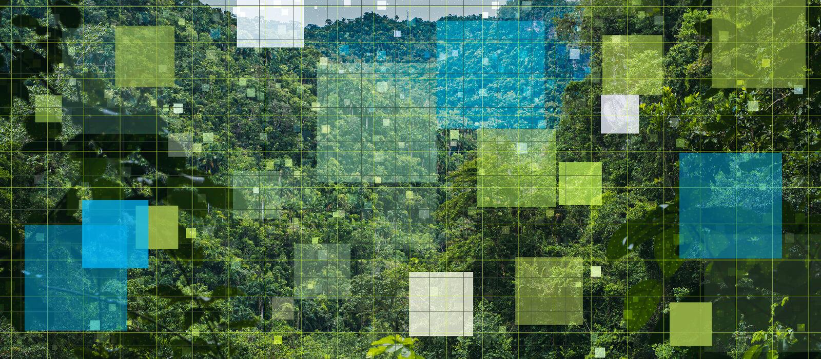 aerial view of forest with colorful blocks overlay