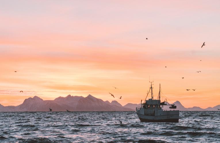 fishing boat in Norway